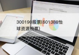 300190股票(601388怡球资源股票)