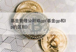 基金管理公司双gp(基金gp和lp的区别)