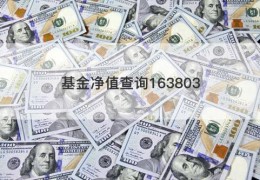 基金净值查询163803