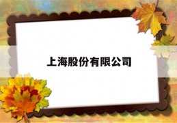 上海股份有限公司(安乃达驱动技术上海股份有限公司)