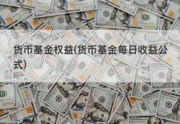 货币基金权益(货币基金每日收益公式)