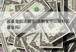 买基金回活期宝(活期宝可以随时买基金吗)