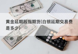 黄金延期股指期货(白银延期交易费是多少)