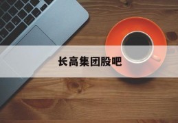 长高集团股吧(长高集团林林个人简介)