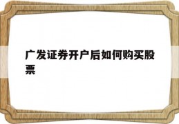 广发证券开户后如何购买股票(广发证券开户之后,如何购买股票流程)