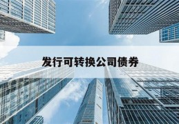 发行可转换公司债券(发行可转换公司债券发生的交易费用)