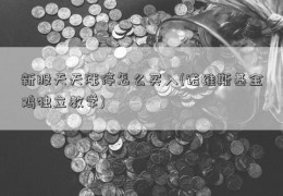 新股天天涨停怎么买入(诺维斯基金鸡独立教学)