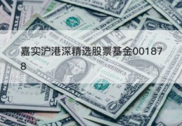 嘉实沪港深精选股票基金001878