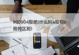 900904股吧(什么叫a股和b股的区别)