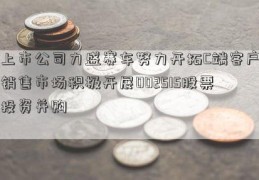 上市公司力盛赛车努力开拓C端客户销售市场积极开展002515股票投资并购