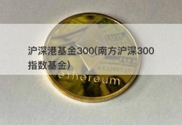 沪深港基金300(南方沪深300指数基金)