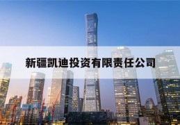 新疆凯迪投资有限责任公司(新疆凯迪投资有限责任公司是国企吗)