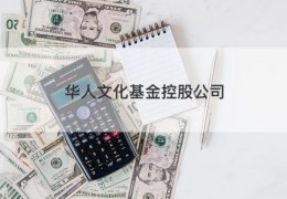 华人文化基金控股公司