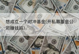 想成立一个对冲基金(开私募基金公司赚钱吗)