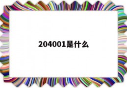 204001是什么(204001是什么股票不需要手续费吗)