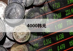 4000韩元(4000万韩元)