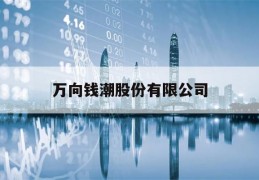 万向钱潮股份有限公司(万向钱潮股份有限公司是国企吗)