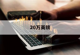 20万英镑(20万英镑等于多少欧元)