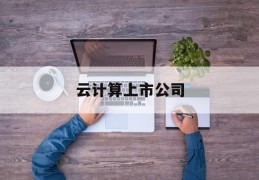 云计算上市公司(云计算上市公司的龙头股是什么?)