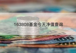 163808基金今天净值查询