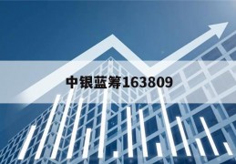 中银蓝筹163809(中银蓝筹基金163809为什么在华泰显示停牌中)