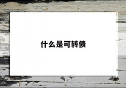 什么是可转债(什么是可转债债券)