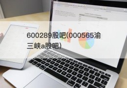 600289股吧(000565渝三峡a股吧)