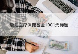 浙江医疗保健基金1001无标题