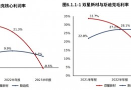 双星新材股票(双星新材股票股吧)