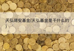 天弘诺安基金(天弘基金是干什么的)