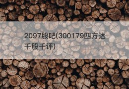 2097股吧(300179四方达千股千评)