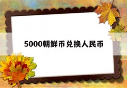 5000朝鲜币兑换人民币(5000朝鲜币兑换人民币图片二维码)