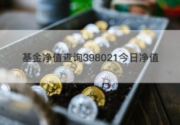 基金净值查询398021今日净值