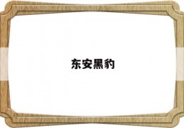 东安黑豹(东安黑豹股份有限公司)