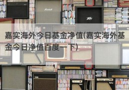 嘉实海外今日基金净值(嘉实海外基金今日净值百度一下)