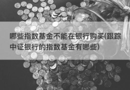 哪些指数基金不能在银行购买(跟踪中证银行的指数基金有哪些)