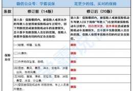 改险(车险排名前十的保险公司)