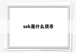 sek是什么货币(sek是什么货币单位)