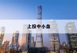 上投中小盘(上投中小盘 3790)