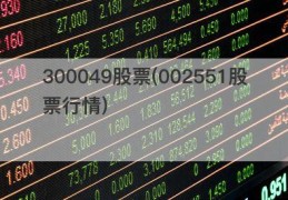 300049股票(002551股票行情)