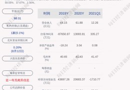 吴启权(长园集团吴启权祖籍)