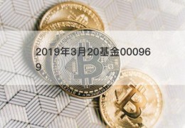 2019年3月20基金000969