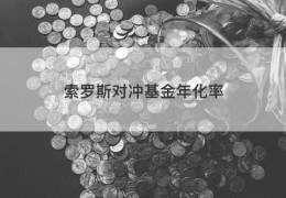 索罗斯对冲基金年化率