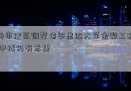 两市震荡调整佛罗里达大学金融工程 中线仍有希望