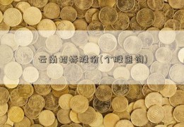 云南招标股份(个股查询)