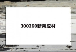 300260新莱应材(300260新莱应材股票行情)