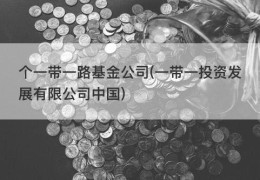 个一带一路基金公司(一带一投资发展有限公司中国)