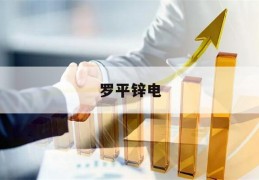 罗平锌电(罗平锌电公司简介)