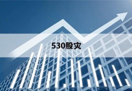 530股灾(530股灾雷天大壮)