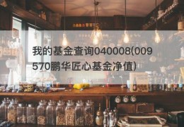 我的基金查询040008(009570鹏华匠心基金净值)